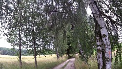 Obrázek z trasy Za poznáním historie 20. století a přírodními krásami Slavonicka.